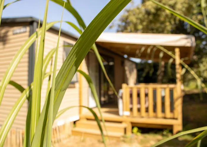 Camping Le Bois Verdon