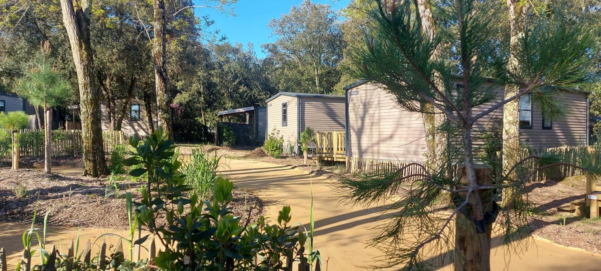 Le Bois Verdon Campsite