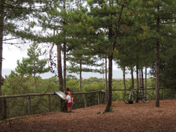 Le Bois Verdon Campsite